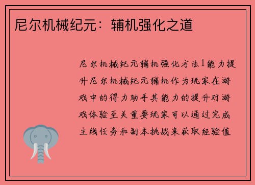 尼尔机械纪元：辅机强化之道
